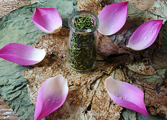 포토 JPG 해외이미지 식물 꽃 아시아 음식 분홍색 백그라운드 잎 꽃무늬 자연 추상 건강 연꽃 씨앗 사람없음 목재 초록색 컬러풀 약 화목 고요 놀람 흰색 잠 차 수집 먹기 허브 베트남 뿌리 건강식 해외202004 해외포토 나무 감정 나라 음료 컬러 컨셉 무늬 재료 의학 모션 표정 동남아시아 생태계 파일형식 이미지허브