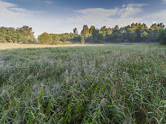 포토 JPG 해외이미지 구름 유럽 지구 호수 모래 파도 하늘 낚시 휴가 스키 새로움 안테나 파노라마 어류 풍경 사람없음 초록색 물 여름 빛 햇빛 반사 노란색 여행객 평화 일출 화목 거울 신선 숲 강가 신비 폴란드 내추럴 드론 민물 웅장함 전설 해외202004 해외포토 자연요소 계절 나라 바다 컬러 컨셉 통신 레저 겨울스포츠 촬영기법 사람 강 태양 노을 수중동물 파일형식 이미지허브