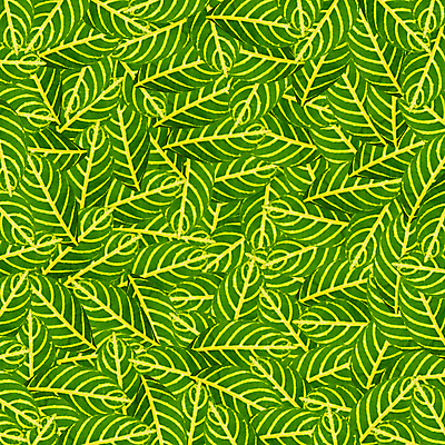 포토 JPG 해외이미지 나무 식물 줄기 백그라운드 잎 꽃무늬 패턴 자연 추상 미술 사람없음 초록색 빛 환경 정원 봄 성장 가을 투명 닫기 순수 유기농 원예 질감 생물학 내추럴 진행 개발 해외202004 해외포토 웰빙 계절 교육 꽃 컬러 컨셉 무늬 모션 문화예술 취미 생태계 파일형식 이미지허브