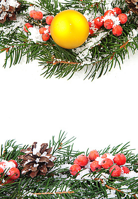 포토 JPG 해외이미지 열매 백그라운드 잎 크리스마스 겨울 사람없음 빨간색 초록색 장난감 화려 해외202004 해외포토 식물 계절 기념일 컬러 컨셉 파일형식 이미지허브