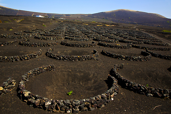 포토 JPG 해외이미지 식물 모래 벽 파도 여행 백그라운드 패턴 곡선 아프리카 자연 하늘 포도 바람 추상 휴가 산 거리 이끼 풍경 사람없음 초록색 빛 검은색 바위 나사 업무 구멍 스페인 땅 언덕 질감 화산 포도나무 양조장 지질학 해외202004 해외포토 자연요소 교육 유럽 나라 선 바다 컬러 무늬 과일 날씨 돌_바위 공구 작업 과일나무 생태계 파일형식 이미지허브