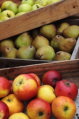 포토 JPG 해외이미지 영어 음식 과일 사람없음 수확 사과 건강식 음식준비 해외202004 해외포토 문자 농업 준비 파일형식 이미지허브