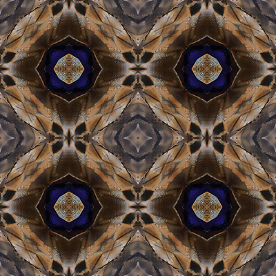 포토 JPG 해외이미지 동물 야생동물 백그라운드 패턴 자연 조류 추상 오리 동양인 사람없음 파란색 컬러풀 깃털 질감 해외202004 해외포토 컬러 무늬 인종 생태계 파일형식 이미지허브