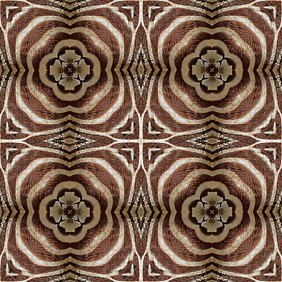 포토 JPG 해외이미지 동물 디자인 야생동물 백그라운드 패턴 포유류 아프리카 자연 추상 털 사람없음 장식 검은색 줄무늬 흰색 인쇄 가죽 사파리 피부 묘사 질감 얼룩말 동물상 해외202004 해외포토 나라 컬러 무늬 신체부위 조형물 말_동물 생태계 파일형식 이미지허브