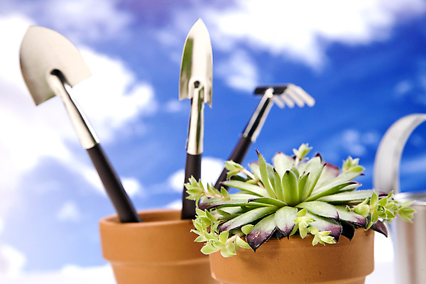 포토 JPG 해외이미지 식물 구름 꽃 백그라운드 컨셉 잎 하늘 부츠 통 사람없음 초록색 여름 정원 성장 공구 캔 냄비 삽 시작 원예 갈퀴 고립 돌봄 모종 생태학 심기 해외202004 해외포토 자연요소 계절 교육 컬러 신발 모션 취미 도구 솥 파일형식 이미지허브