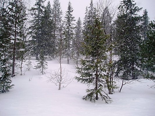 포토 JPG 해외이미지 겨울 바람 날씨 산 사람없음 추위 폭풍 나쁜 해외202004 해외포토 자연요소 계절 파일형식 이미지허브