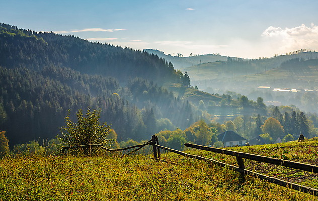 포토 JPG 해외이미지 밭 농업 아침 풍경 경사 잔디 사람없음 초록색 울타리 카펫 안개 가을 시골 숲 언덕 속도 상승 지역 멀리 흙더미 산악지대 교외 땅바닥 우울증 평야 해외202004 해외포토 주간 식물 계절 산업 컬러 컨셉 자연 날씨 산 바닥 담장 흙 질병 파일형식 더미 이미지허브