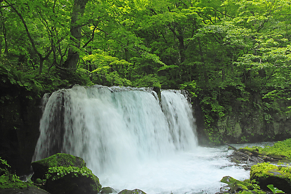 포토 JPG 해외이미지 나무 자연 사람없음 초록색 물 햇빛 일본 힘 폭포 광선 해외202004 해외포토 자연요소 식물 아시아 컬러 태양 생태계 파일형식 이미지허브