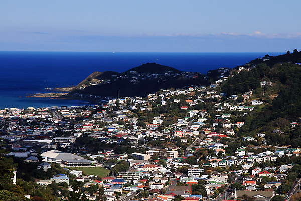 포토 JPG 해외이미지 바다 섬 새로움 산 키위 협상 장화 풍경 사람없음 건물 도시풍경 마을 항구 도시 언덕 뉴질랜드 북쪽 타운 해외202004 해외포토 건축물 신발 컨셉 과일 비즈니스 교통시설 오세아니아 방향 파일형식 이미지허브