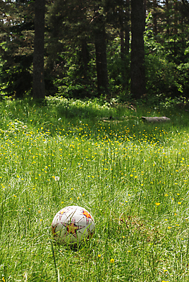 포토 JPG 해외이미지 백인 행복 어린이 스포츠 밭 공 자연 놀이 소년 사람없음 야외 컵 초록색 세계 축구 게임 숲 플레이어 해외202004 해외포토 서양인 식기 남자 감정 컬러 농업 사람 구기 생태계 파일형식 이미지허브