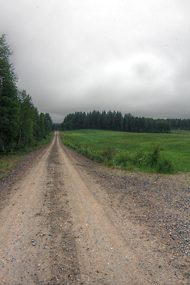 포토 JPG 해외이미지 나무 도로 길 밭 하늘 날씨 핀란드 풍경 사람없음 야외 초록색 여름 파란색 숲 땅 북쪽 스칸디나비아 수평선 해외202004 해외포토 식물 계절 컬러 농업 교통시설 북유럽 방향 파일형식 이미지허브