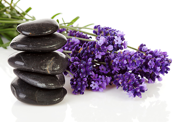 포토 JPG 해외이미지 식물 꽃 꽃다발 자연 휴식 사람없음 쌓기 보라색 검은색 스파 프랑스 나뭇가지 다발 허브 향수 묘사 향기 냄새 아로마 향 아로마테라피 라벤더 라일락 고립 프로방스 해외202004 해외포토 나무 유럽 컬러 컨셉 모션 화장품 생태계 테라피 파일형식 이미지허브