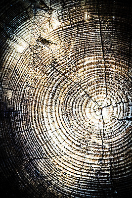 포토 JPG 해외이미지 나무 디자인 외관 벽 백그라운드 패턴 자연 탁자 표면 추상 바닥 프레임 건조 사람없음 목재 장식 갈색 어둠 수확 판넬 얼룩 거친 널 낟알 타일 책상 질감 복고 목공예 잡동사니 내추럴 구식 그런지 수목 옛날 파케트 해외202004 해외포토 식물 컬러 가구 무늬 농업 재료 공예 생태계 파일형식 이미지허브