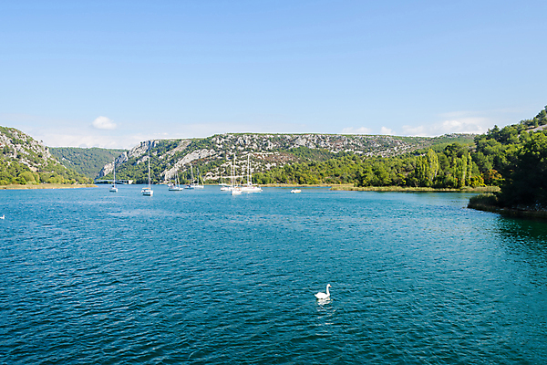 포토 JPG 해외이미지 라이프스타일 스포츠 바다 섬 백그라운드 요트 모션 자연 하늘 휴가 항해 안테나 풍경 사람없음 물 여름 파란색 평화 경쟁 만 보트 4 그룹 정상 크루즈 지중해 언덕 함선 선원 암초 크로아티아 레가타 수평선 해외202004 해외포토 자연요소 계절 유럽 컬러 컨셉 배_교통 통신 생활 숫자 생태계 파일형식 이미지허브