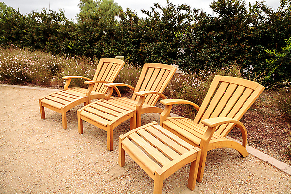 포토 JPG 해외이미지 가구 의자 자연 휴식 풍경 사람없음 여름 고요 뒤뜰 해외202004 해외포토 계절 생활용품 컨셉 생태계 파일형식 이미지허브