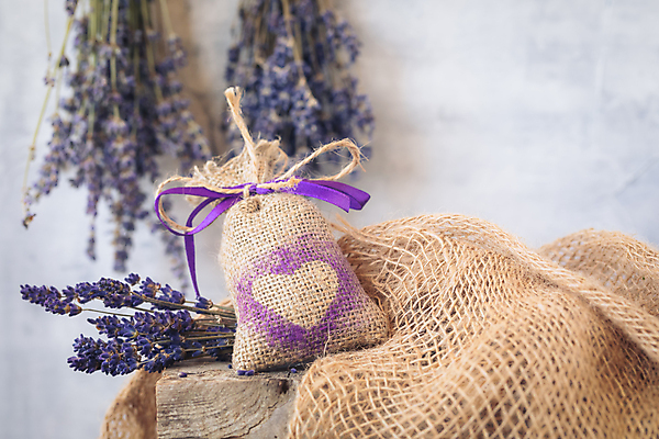 포토 JPG 해외이미지 식물 꽃 꽃다발 백그라운드 꽃무늬 베개 자연 휴식 건조 건강 사람없음 목재 치료 장식 파란색 약 정원 보라색 스파 수확 벚꽃 시골 허브 향수 복고 향기 냄새 아로마 향 아로마테라피 테라피 라벤더 라일락 내추럴 돌봄 치료제 프로방스 핸드메이드 해외202004 해외포토 나무 컬러 컨셉 무늬 농업 재료 의학 침구 모션 뷰티 화장품 생태계 파일형식 이미지허브