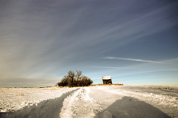 포토 JPG 해외이미지 식물 계절 산업 지구 음식 백그라운드 잎 밭 농업 채소 자연 하늘 건강 풍경 사람없음 야외 초록색 여름 파란색 컬러풀 태양 농장 농경지 갈색 환경 정원 흙 봄 수확 성장 시골 신선 땅 시리얼 유기농 내추럴 땅바닥 밭일 쟁기 줄서기 수평선 세련 해외202004 해외포토 자연요소 웰빙 컬러 모션 바닥 생태계 파일형식 이미지허브