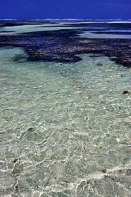 포토 JPG 해외이미지 구름 선 모래 파도 바다 섬 여행 아프리카 자연 조류 하늘 휴식 항해 그림자 사람없음 물 여름 파란색 수영 거품 자유 껍질 바위 만 면 점 해조류 엔진 인도양 석호 땅바닥 해외202004 해외포토 자연요소 동물 계절 나라 컬러 컨셉 배_교통 바닥 돌_바위 수상스포츠 해양식물 생태계 파일형식 이미지허브