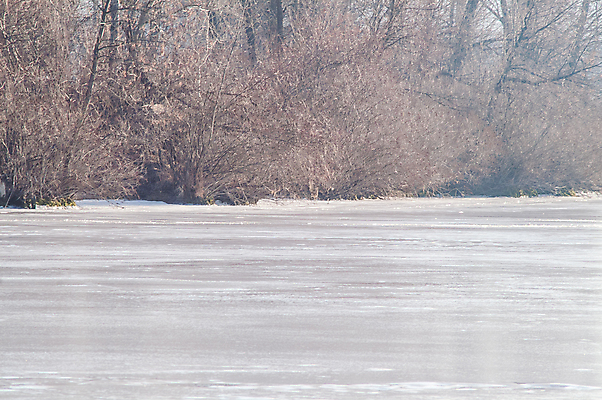 포토 JPG 해외이미지 나무 계절 공원 호수 백그라운드 겨울 자연 하늘 동화 날씨 이야기 풍경 사람없음 야외 물 파란색 빛 강 반사 맑음 냉동 얼음 침묵 추위 안개 흰색 나뭇가지 연못 소나무 개울 황무지 떨어짐 숲 시원함 12월 서리 엽서 장면 마법 내추럴 벌거벗은 폭설 해외202004 해외포토 자연요소 식물 공공시설 컬러 컨셉 눈_날씨 소리 날짜 자연재해 편지 생태계 파일형식 이미지허브