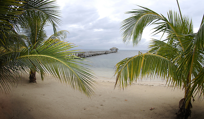 포토 JPG 해외이미지 나무 모래 바다 섬 여행 자연 하늘 휴가 휴식 손바닥 풍경 사람없음 목재 초록색 물 여름 파란색 여행객 고독 온두라스 파라다이스 해외202004 해외포토 자연요소 식물 손 계절 감정 컬러 컨셉 재료 사람 중앙아메리카 생태계 파일형식 이미지허브