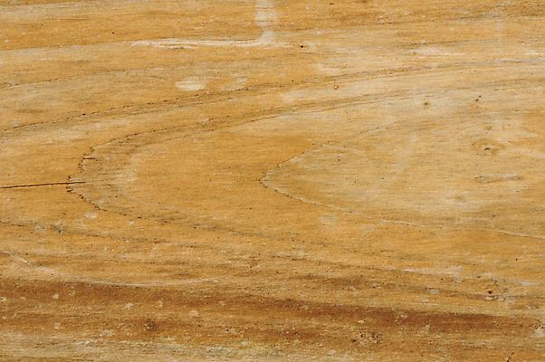 포토 JPG 해외이미지 백그라운드 잎 패턴 자연 추상 사람없음 목재 환경 낟알 친환경 날것 해외202004 해외포토 나무 식물 무늬 재료 생태계 파일형식 이미지허브