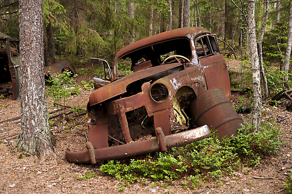 포토 JPG 해외이미지 나무 교통수단 자동차 자연 버스 스웨덴 사람없음 금속 자전거 어둠 재활용 수확 시골 바퀴 황무지 작업실 폐기물 숲 향수 부식 타이어 한조각 헛간 모터 고물상 그런지 변소 옛날 차고 해외202004 해외포토 식물 1 육상교통 교통 농업 재질 대중교통 북유럽 바이크 화장품 쓰레기 친환경 생태계 저장고 파일형식 이미지허브