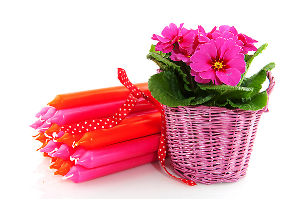 포토 JPG 해외이미지 식물 기념일 리본 분홍색 백그라운드 오렌지 자연 사람없음 여름 파란색 컬러풀 봄 흰색 축하 점 생일 고립 프리뮬러 해외202004 해외포토 계절 꽃 컬러 컨셉 과일 이벤트 생태계 파일형식 이미지허브