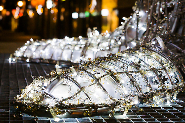 포토 JPG 해외이미지 나무 전통 계절 백그라운드 크리스마스 겨울 패턴 건축양식 휴가 전등 조명 거리 풍경 사람없음 야외 장식 빛 쇼핑 도시풍경 축제 어둠 램프 도시 시간 도심 야간 저녁 12월 질감 문학 장면 지역 타운 빛망울 점화 해외202004 해외포토 자연요소 식물 기념일 건축 무늬 날짜 파일형식 이미지허브