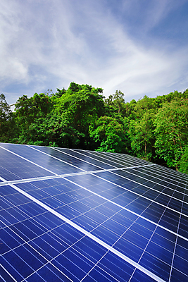 포토 JPG 해외이미지 자연 하늘 사람없음 야외 초록색 파란색 햇빛 태양 환경 배열 태양에너지 집열판 해외202004 해외포토 자연요소 컬러 그린에너지 생태계 파일형식 이미지허브