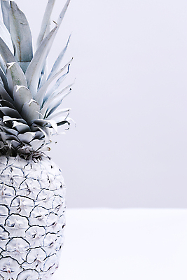 포토 JPG 해외이미지 식물 음료 음식 백그라운드 컨셉 다이어트 과일 자연 탁자 휴가 귤 아이디어 건강 미술 사람없음 여름 식당 희망 페인트 주스 흰색 신선 달콤 맛 먹기 파인애플 오브젝트 상쾌 유기농 질감 날것 내추럴 숙성 특별함 해외202004 해외포토 웰빙 계절 감정 컬러 가구 모션 문화예술 상점 열대과일 생태계 파일형식 이미지허브