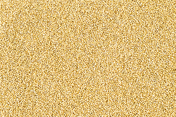 포토 JPG 해외이미지 음식 다이어트 건조 건강 씨앗 사람없음 노란색 낟알 질감 내추럴 생식 비건 해외202004 해외포토 식물 컬러 채식주의자 파일형식 이미지허브