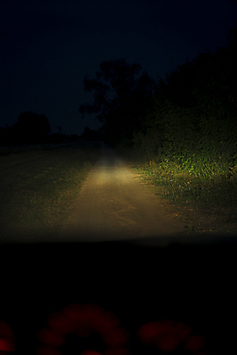 포토 JPG 해외이미지 여행 백그라운드 교통시설 자동차 거리 사람없음 빛 검은색 어둠 운전 운전사 저녁 바쁨 짐차 느림 해외202004 해외포토 직업 육상교통 컬러 교통 모션 야간 시설 파일형식 이미지허브