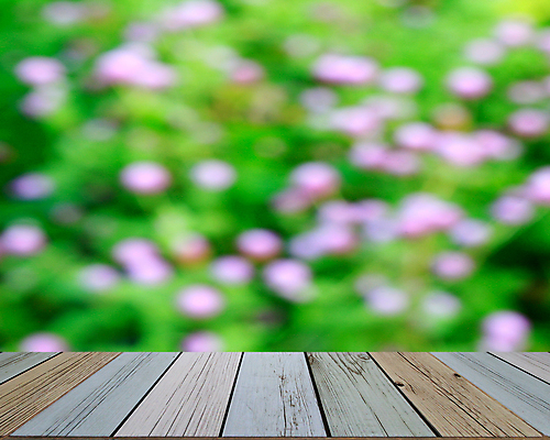 포토 JPG 해외이미지 나무 식물 구름 계절 공원 꽃 벽 백그라운드 잎 꽃무늬 패턴 밭 자연 하늘 아침 추상 바닥 잔디 사람없음 목재 아웃포커스 초록색 여름 파란색 빛 컬러풀 태양 환경 정원 맑음 봄 신선 원형 닫기 널 숲 보케 내추럴 블러 효과 해외202004 해외포토 주간 자연요소 도형 공공시설 컬러 무늬 농업 재료 모션 날씨 촬영기법 생태계 파일형식 이미지허브