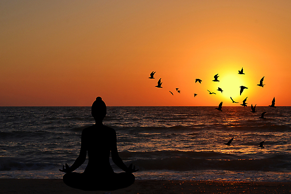 포토 JPG 해외이미지 라이프스타일 여자 실루엣 바다 신체 요가 자연 조류 하늘 휴식 건강 사람 사람없음 야외 물 여름 운동 태양 평화 일출 화목 일몰 에너지 관찰 명상 혼자 해외202004 해외포토 자연요소 동물 웰빙 계절 컨셉 모션 촬영기법 생활 노을 생태계 파일형식 이미지허브