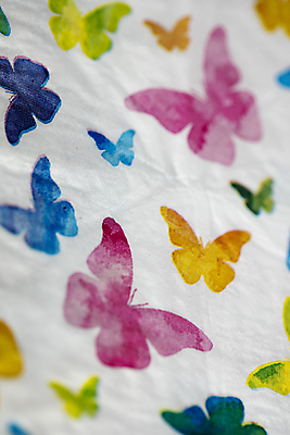 포토 JPG 해외이미지 식물 동물 템플릿 계절 꽃 나비 곤충 잎 밭 농업 자연 해바라기 새로움 3 사람없음 장식 초록색 여름 빛 노란색 환경 정원 놀람 활발 성장 벚꽃 흰색 나뭇가지 신선 황금 소프트포커스 심플 우수 카피스페이스 해외202004 해외포토 나무 감정 산업 컬러 컨셉 촬영기법 표정 공백 절기 생태계 파일형식 이미지허브