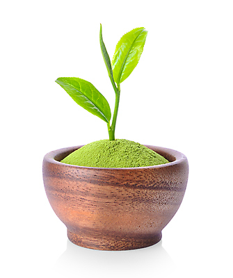 포토 JPG 해외이미지 전통 라이프스타일 문화 음료 음식 백그라운드 잎 재료 건조 건강 동양인 사람없음 초록색 일본 흰색 사발 차 가루 허브 유기농 내추럴 고립 해외202004 해외포토 식물 웰빙 아시아 컬러 인종 생활 사기그릇 파일형식 이미지허브