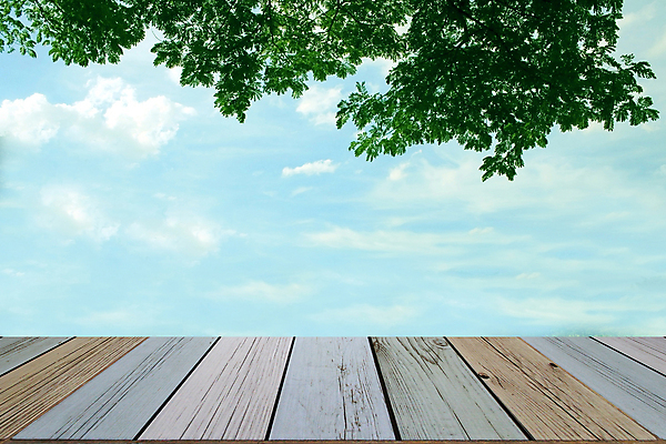 포토 JPG 해외이미지 나무 식물 구름 공원 꽃 길 벽 백그라운드 잎 꽃무늬 자연 하늘 표면 날씨 건조 풍경 잔디 사람없음 야외 목재 장식 초록색 여름 파란색 정원 페인트 수확 골동품 벚꽃 흰색 판넬 거친 개화 분위기 널 큼 버리기 부식 원예 질감 복고 청록색 그런지 수목 옛날 울퉁불퉁 줄서기 중고 해외202004 해외포토 자연요소 계절 공공시설 컬러 컨셉 무늬 농업 재료 모션 취미 크기 생태계 파일형식 이미지허브