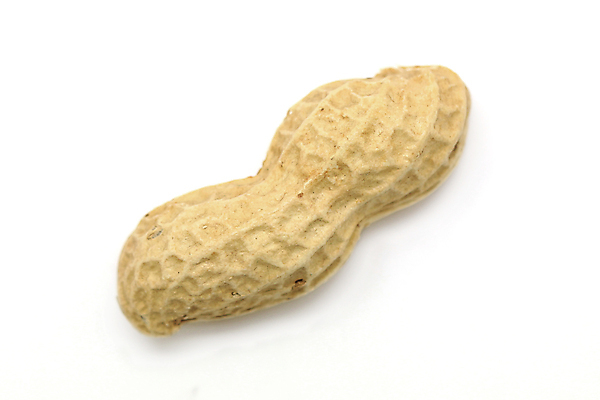 포토 JPG 해외이미지 잡화 음식 백그라운드 농업 다이어트 채소 과일 건강 사람없음 상점 주스 신선 시장 달콤 맛 먹기 땅콩 채식주의자 억울 해외202004 해외포토 감정 산업 음료 컨셉 모션 견과류 채식 파일형식 이미지허브