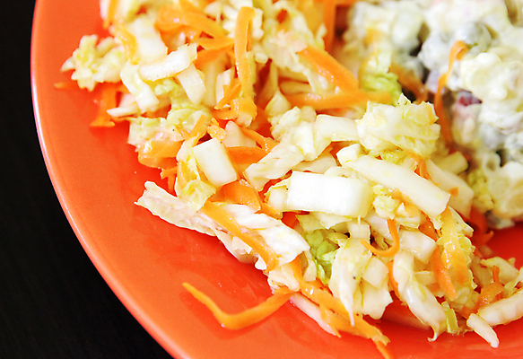 포토 JPG 해외이미지 전통 접시 꽃 음식 백그라운드 포크 다이어트 토마토 채소 부분 양파 오이 파슬리 건강 요리 사람없음 옆모습 빨간색 초록색 여름 식당 식사 저녁식사 당근 샐러드 추위 신선 사발 상추 먹기 유기농 양배추 날것 레시피 후추 점심식사 딜 무생채 채식주의자 해외202004 해외포토 식물 식기 웰빙 계절 뷰포인트 컬러 모션 뿌리채소 상점 사기그릇 향신료 채식 파일형식 이미지허브