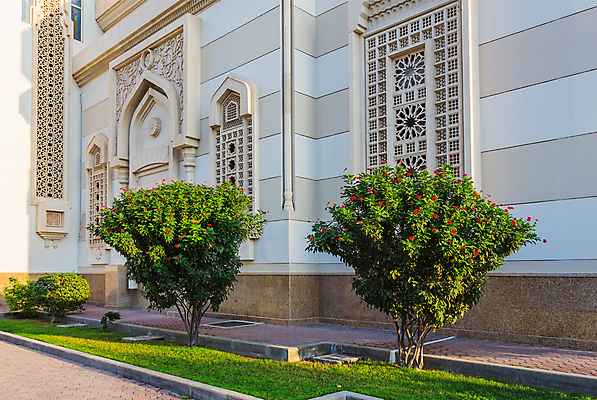 포토 JPG 해외이미지 나무 꽃 종교 벽 건축양식 사람없음 건물 맑음 사찰 모스크 동쪽 아랍에미리트 숭배 해외202004 해외포토 식물 건축물 건축 중동 종교건축 날씨 이슬람교 방향 파일형식 이미지허브