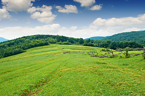 포토 JPG 해외이미지 나무 구름 공원 자연 하늘 산 풍경 사람없음 야외 여름 봄 숲 산등성이 해외202004 해외포토 자연요소 식물 계절 공공시설 생태계 파일형식 이미지허브