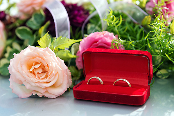 포토 JPG 해외이미지 커플 꽃 행복 결혼 백그라운드 2 관계 자연 결혼식 함께함 사랑 사람없음 빨간색 장미 흰색 축하 반지 쌍 황금 보석 심볼 약혼 해외포토 식물 감정 컬러 컨셉 장신구 이벤트 광석 생태계 약속 파일형식 이미지허브