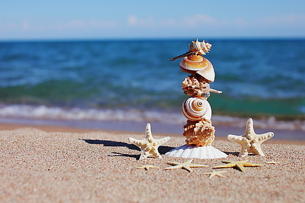 포토 JPG 해외이미지 주간 모래 불가사리 해변 사람없음 야외 아웃포커스 쌓기 조개껍데기 해외포토 자연요소 바다 모션 조개 극피동물 촬영기법 파일형식 이미지허브