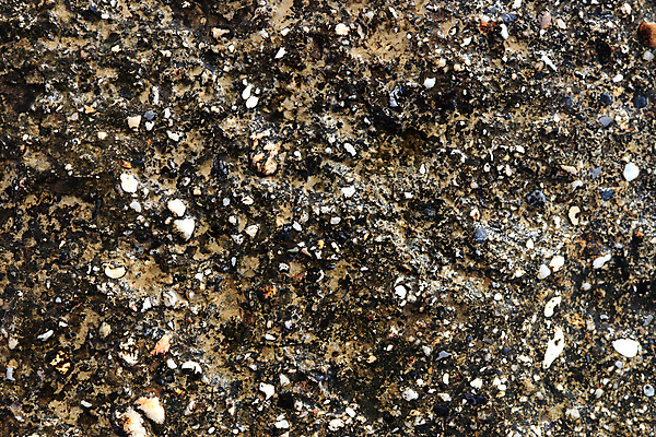 포토 JPG 해외이미지 모래 파도 바다 여행 백그라운드 자연 항해 풍경 해변 사람없음 야외 물 여름 빛 모래사장 햇빛 질감 칠면조 내추럴 이국적 해외포토 자연요소 계절 배_교통 조류 태양 생태계 파일형식 이미지허브