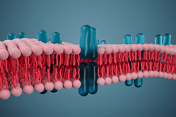 JPG 해외이미지 의학 세포 사람없음 파란색 3D 바이오 세포막 해외포토 포토 컬러 디지털합성 파일형식 이미지허브