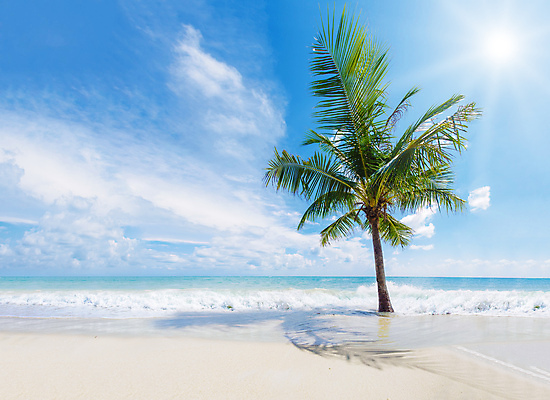 포토 JPG 해외이미지 바다 섬 여행 태국 자연 하늘 휴가 파노라마 사람 풍경 사람없음 물 여름 파란색 만 산호 휴양지 파라다이스 해외포토 자연요소 계절 아시아 컬러 촬영기법 장소 자포동물 생태계 파일형식 이미지허브