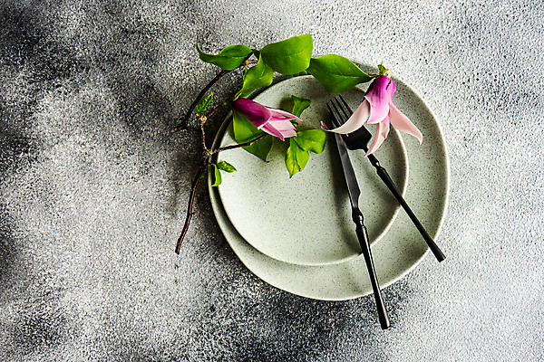 포토 JPG 해외이미지 식기 접시 꽃 포크 잎 회색배경 사람없음 나뭇가지 나이프 해외포토 나무 식물 백그라운드 회색 칼 파일형식 이미지허브