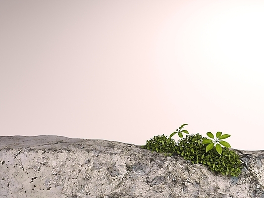 포토 JPG 해외이미지 모양 템플릿 디자인 백그라운드 컨셉 일러스트 추상 벽돌 서기 사람없음 장식 빛 유행 3D 우주 공백 블록 흰색 발표 고급 상품 받침대 오브젝트 진열장 질감 만들기 쇼 단상 옛날 지휘대 목업 미니멀리스트 미니멀 해외포토 컬러 무늬 모션 디지털합성 파일형식 이미지허브