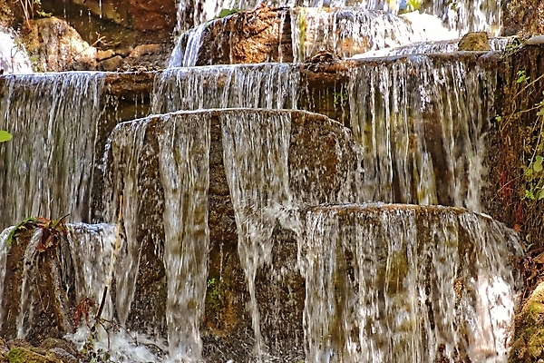 포토 JPG 해외이미지 나무 계절 백그라운드 자연 풍경 사람없음 야외 물 여름 환경 폭포 흐름 추위 투명 작음 질감 해외포토 자연요소 식물 컨셉 크기 생태계 파일형식 이미지허브