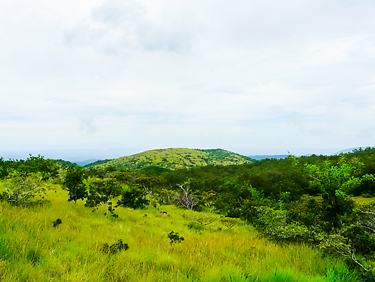 포토 JPG 해외이미지 공원 여행 자연 국립공원 풍경 사람없음 야외 초록색 물 파란색 강 평화 침묵 폭포 회색 연못 더위 숲 위험 열대우림 화산 진흙 내추럴 유황 지열 코스타리카 터키석 해외포토 자연요소 공공시설 컬러 컨셉 날씨 산 소리 중앙아메리카 보석 생태계 파일형식 이미지허브